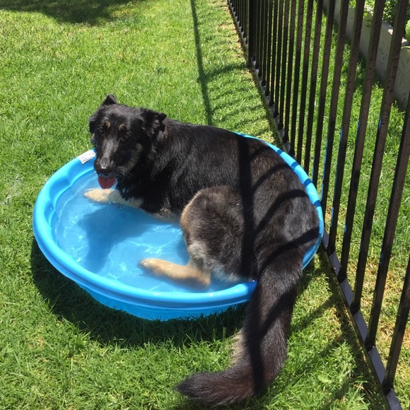 Meet your Posher, Sandy So Cali clothes hoarder - Picture 8 of 12